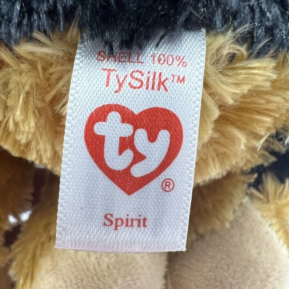 Ty meet spirit